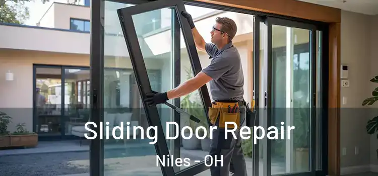  Sliding Door Repair Niles - OH