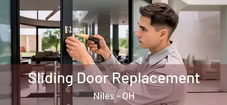  Sliding Door Replacement Niles - OH
