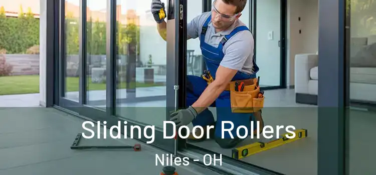  Sliding Door Rollers Niles - OH