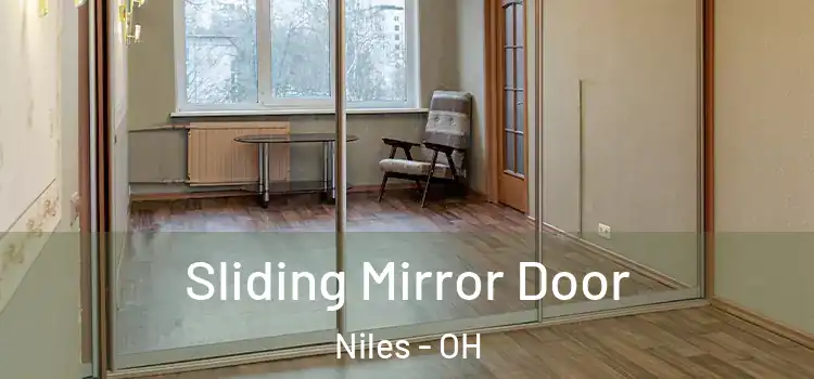  Sliding Mirror Door Niles - OH