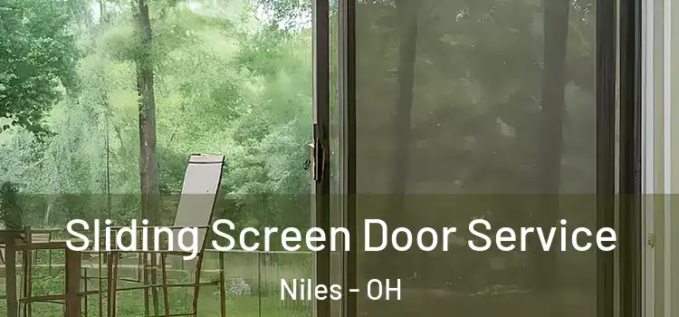  Sliding Screen Door Service Niles - OH