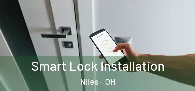 Smart Lock Installation Niles - OH