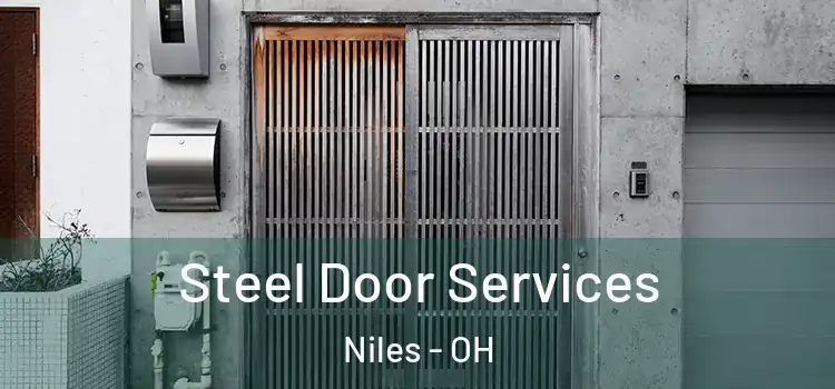  Steel Door Services Niles - OH