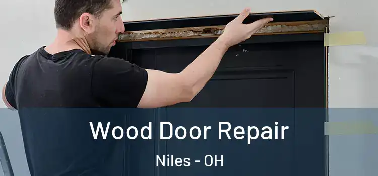  Wood Door Repair Niles - OH