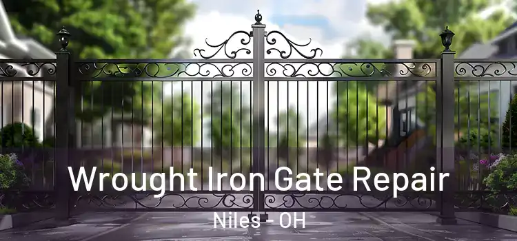  Wrought Iron Gate Repair Niles - OH